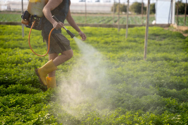 Best Affordable Exterminators  in Celoron, NY