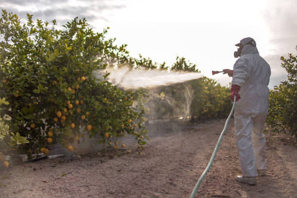 Best Residential Pest Control  in Celoron, NY