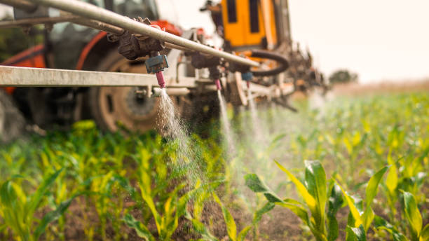 Best Pest Control Treatment  in Celoron, NY